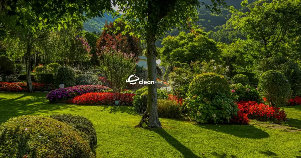 რას შედის ბაღის გამწვანება