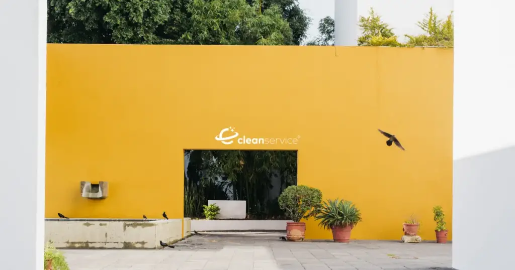 თანამედროვე ტენდენციები ეზოს მოწყობაში