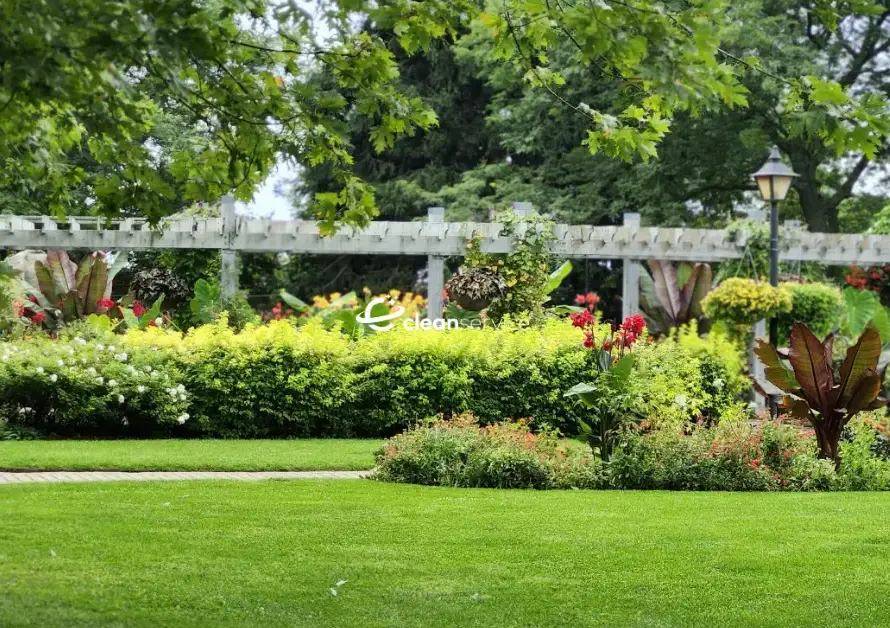 ბაღის მოვლა და გამწვანება