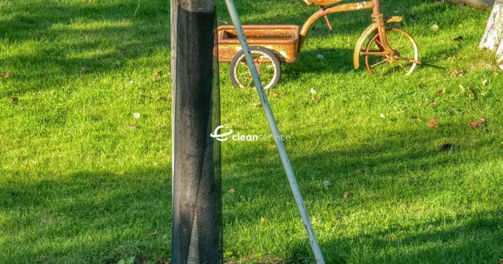 სეზონური ეზოს მოვლა - რა უნდა გავაკეთოთ წელიწადის სხვადასხვა დროს?