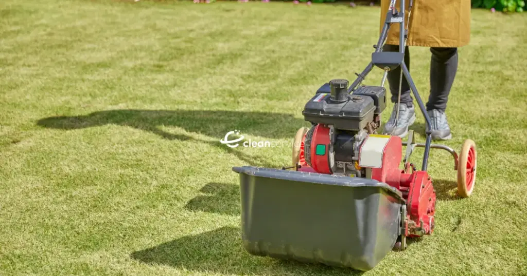 რა შედის პროფესიონალურ ეზოს მოვლის სერვისში?